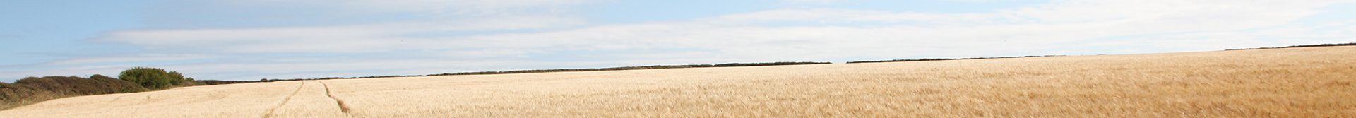banner-about